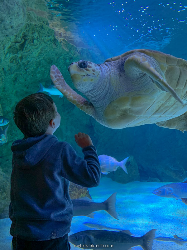 Aquarium Biarritz Frankreich