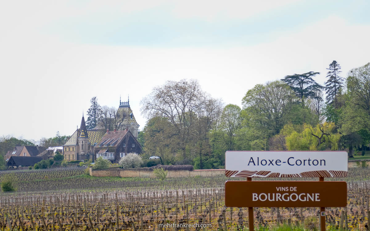 Burgund Route Grands Crus Aloxe Corton