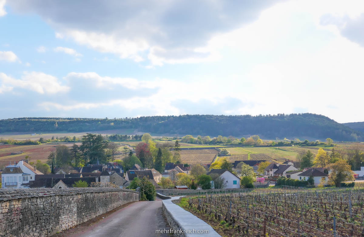Route des Grands Crus Weinstrasse Bourgogne
