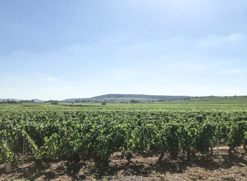 mehrFrankreich Burgund Insider ReiseTipps und Sehenswürdigkeiten