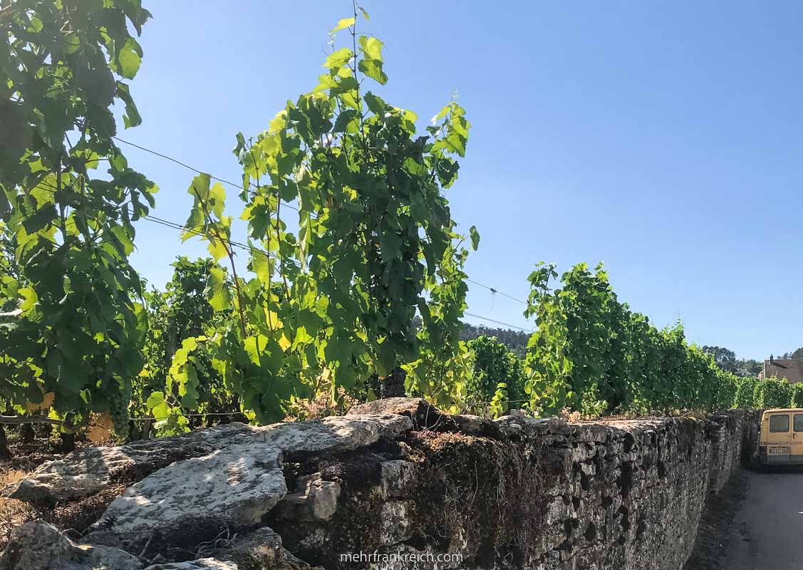 Weinberge Weinstrasse Grand Vins Bourgogne