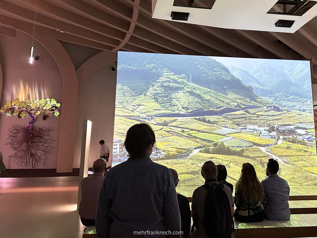 Bordeaux Frankreich Cite du vin