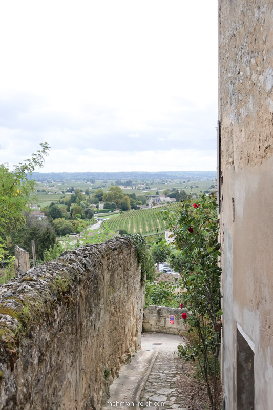 Bordeaux Saint Emilion Ausblick