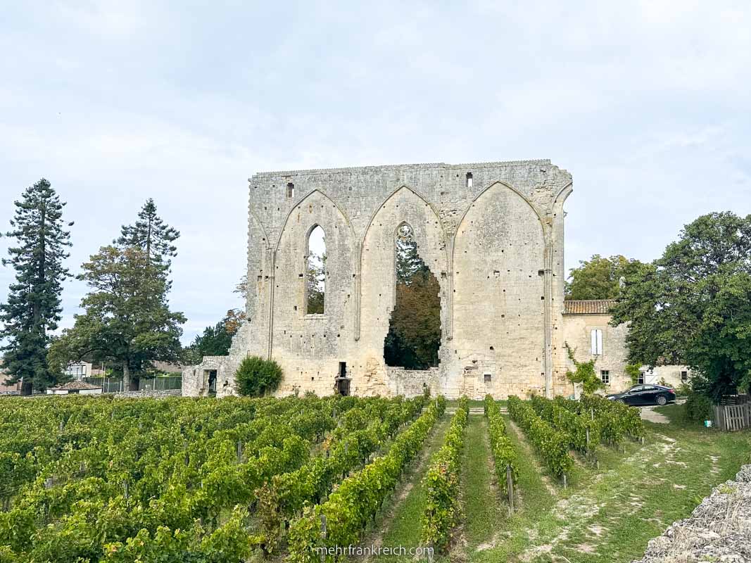 Grandes Mureilles Saint Emilion Bordeaux_