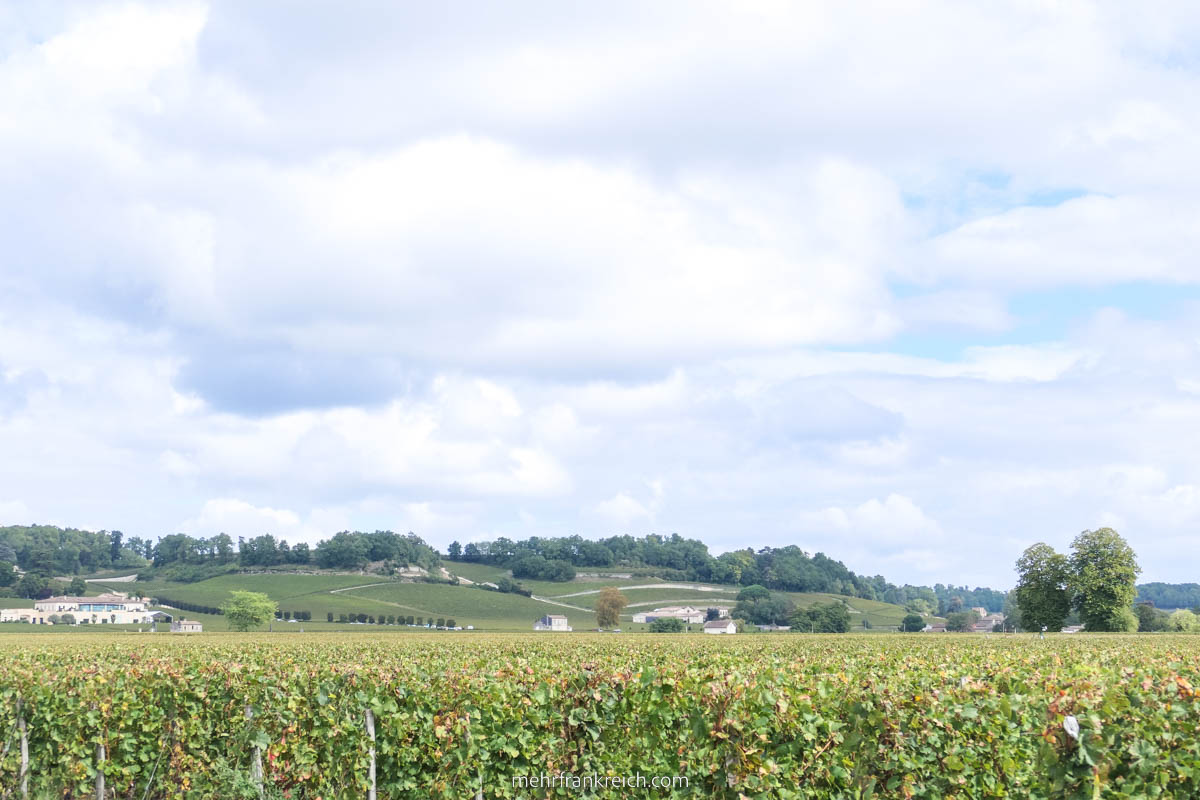 Weinberge Saint Emilion Bordeaux Frankreich