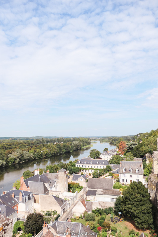 Ausblick Schloss Amboise Loire