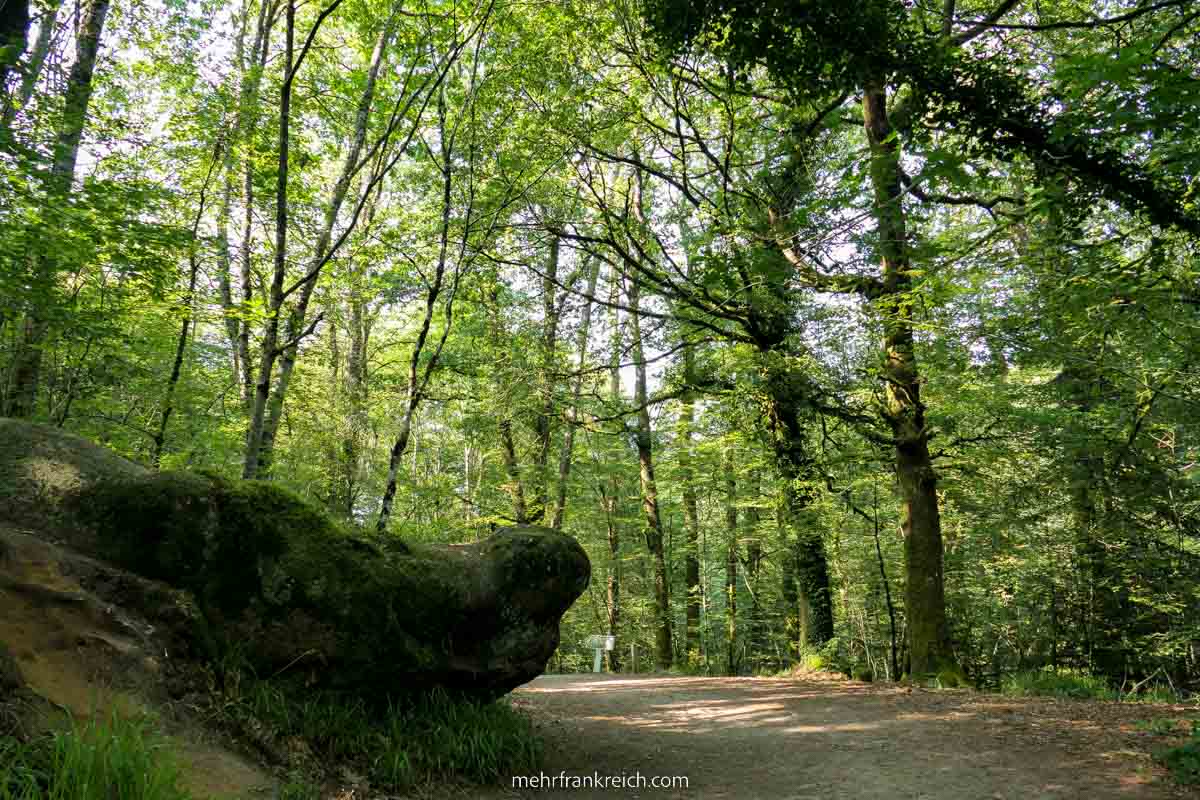 Geheimtipp Bretagne Huelgoat Wald